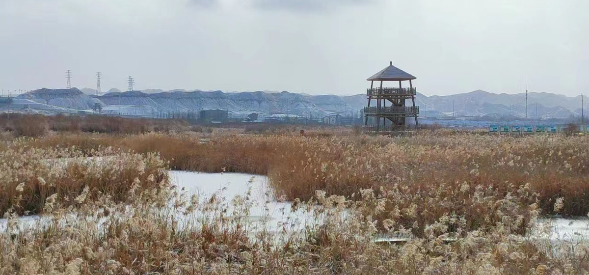 雪润秦王川